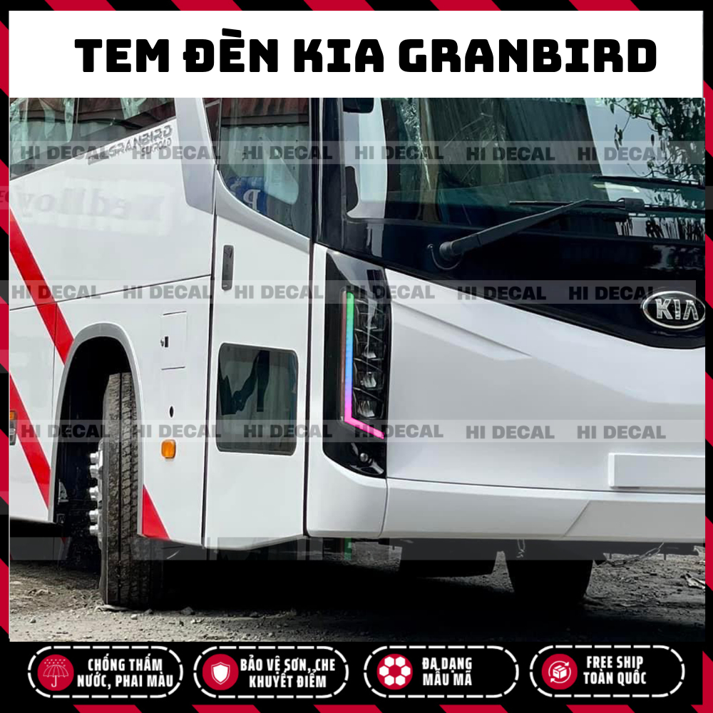 Tem dán đèn Kia Granbird  - Decal đổi màu đèn Kia Granbird Tracomeco xe khách xe 29 chỗ, xe 45 chỗ