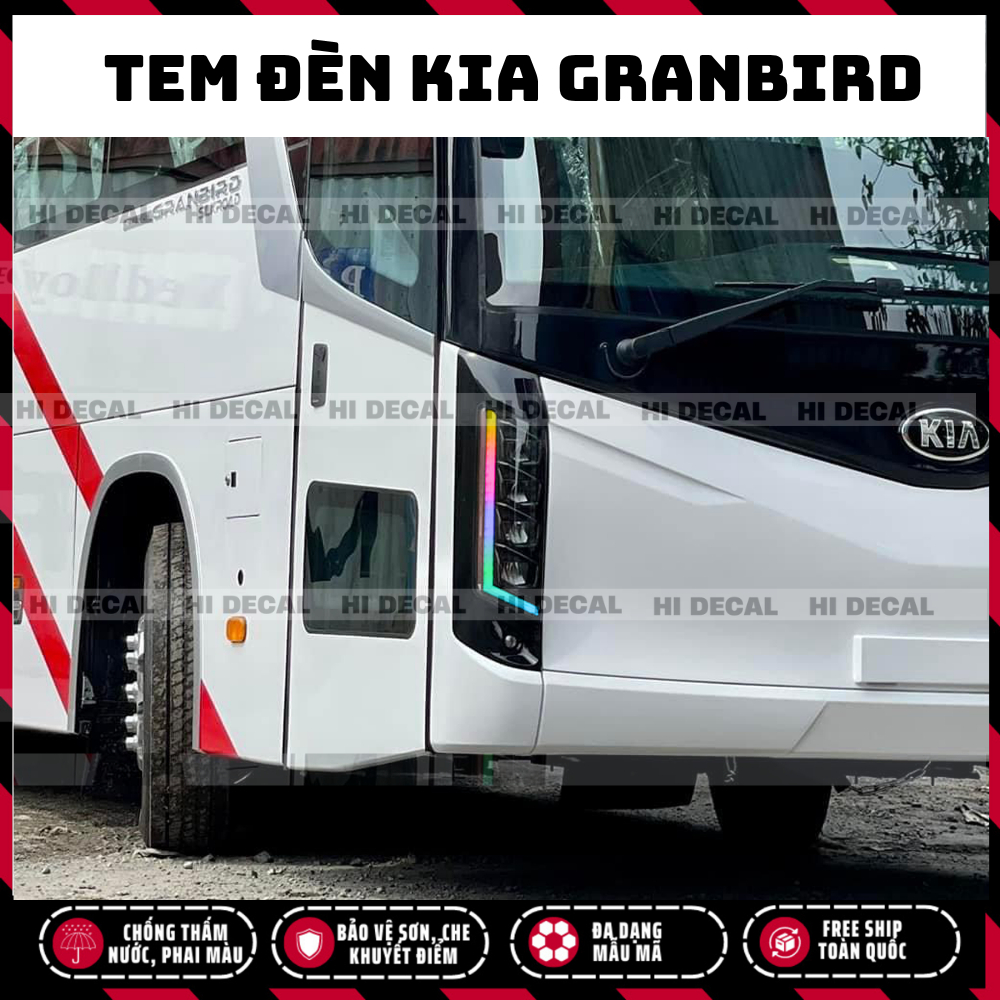 Tem dán đèn Kia Granbird  - Decal đổi màu đèn Kia Granbird Tracomeco xe khách xe 29 chỗ, xe 45 chỗ