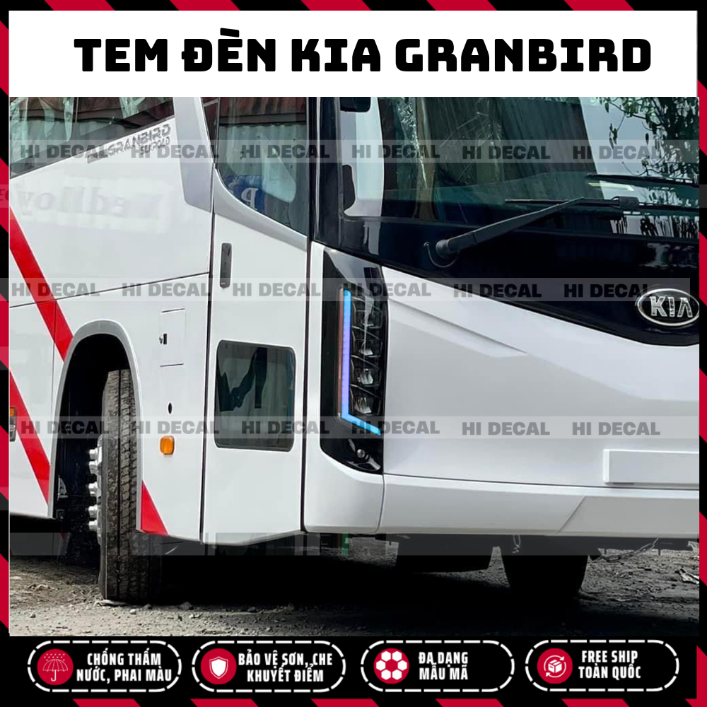 Tem dán đèn Kia Granbird  - Decal đổi màu đèn Kia Granbird Tracomeco xe khách xe 29 chỗ, xe 45 chỗ
