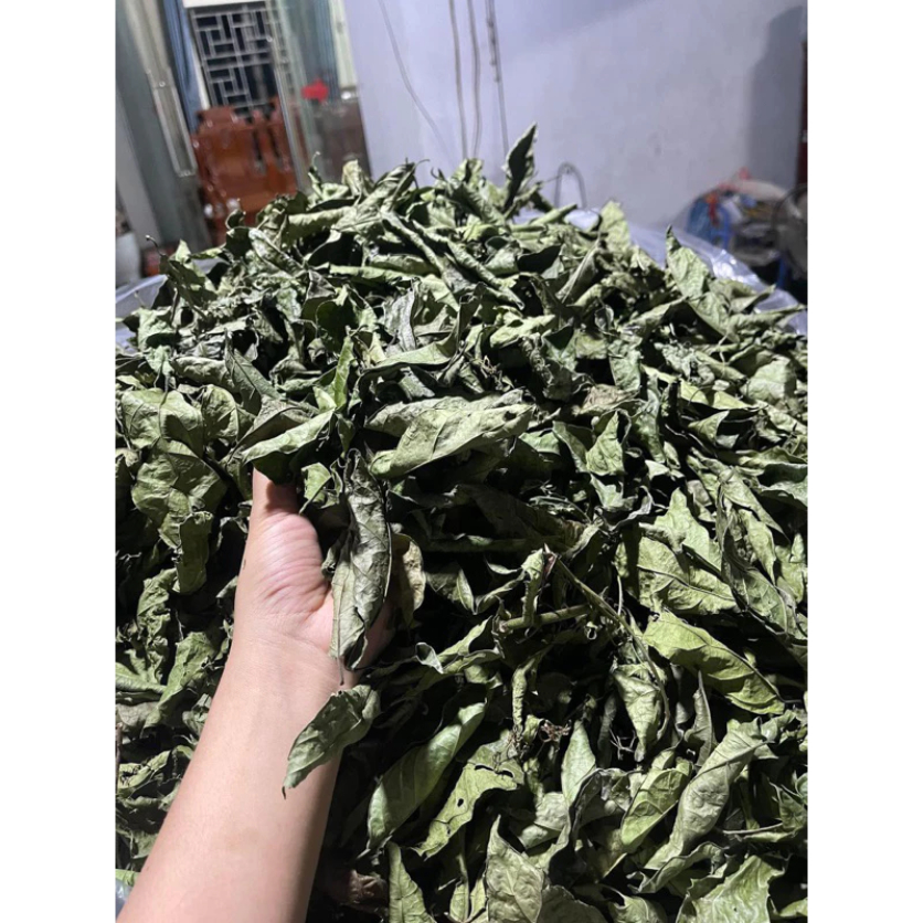 xạ đen hoà bình
