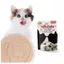 5 - 10 gói Pate MILKSHAKE vị gà cho mèo - Gói 85g