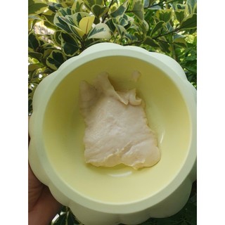 [Hoả Tốc] Pate MILKSHAKE vị gà cho mèo - Gói 85g