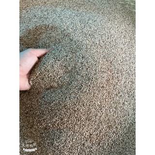 Mè vàng quê 1kg – Vụ mới, đãi sạch, đóng hút chân không