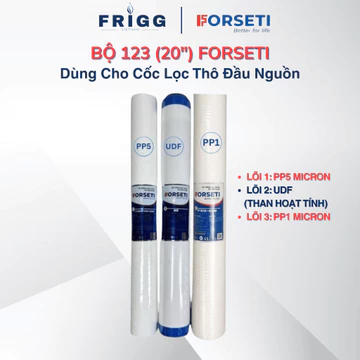 Bộ 3 Iõi lọc xử lý nước đầu nguồn 20 inch Forseti dùng cho các máy lọc nước bán công nghiệp và cốc lọc đầu nguồn