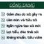 Trà Tán Sỏi - Lang Tị - Lợi Tiểu, Chữa,Giảm, Bài Tiết Sỏi Thận, Tiết Niệu, Bàng Quang - Túi 50 lọc