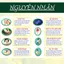 Trà Xương Khớp - Lang Tị - Đốt Sống Lưng, Cổ Vai Gáy, Thoát Vị, Tràn Dịch Khớp - Túi 50 lọc