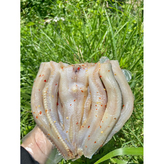 KHÔ CÁ LÓC CON LỚN GÓI 500G ( tặng kèm mắm me)