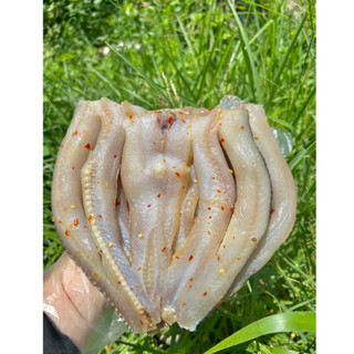 KHÔ CÁ LÓC CON LỚN GÓI 500G ( tặng kèm mắm me)