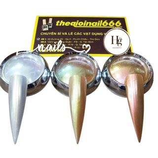 Bột Tráng Gương Cao Cấp Mẫu 04 Lẻ Hủ | Hiệu Ứng Bóng Gương Ánh Kim | Thegioinail666