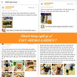 Set Quà Tặng Nam Nữ Ly Đá Khuếch Tán Tinh Dầu Thơm Phòng ESKY AROMA GARDEN (12 mùi)