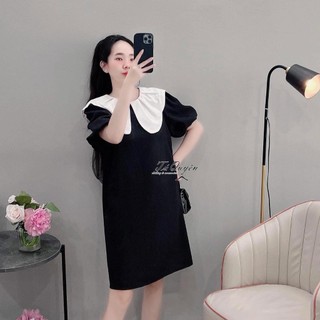 Váy bầu công sở thiết kế dáng ngắn cổ phối trắng xếp ly