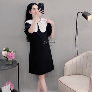 Váy bầu công sở thiết kế dáng ngắn cổ phối trắng xếp ly