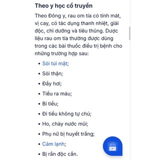 Chậu rau ngò om tía , nhiều công dụng