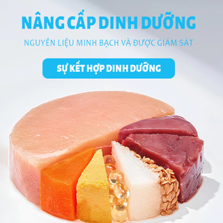 Hạt MR VET T1 Thức Ăn Mèo Dạng Hạt MrVet Holistic Gói 1KG Với 30% Protein Dành Cho Mèo Mọi Lứa Tuổi