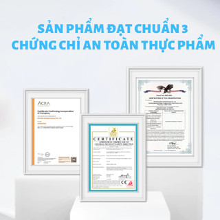 Hạt MR VET T1 Thức Ăn Mèo Dạng Hạt MrVet Holistic Gói 1KG Với 30% Protein Dành Cho Mèo Mọi Lứa Tuổi