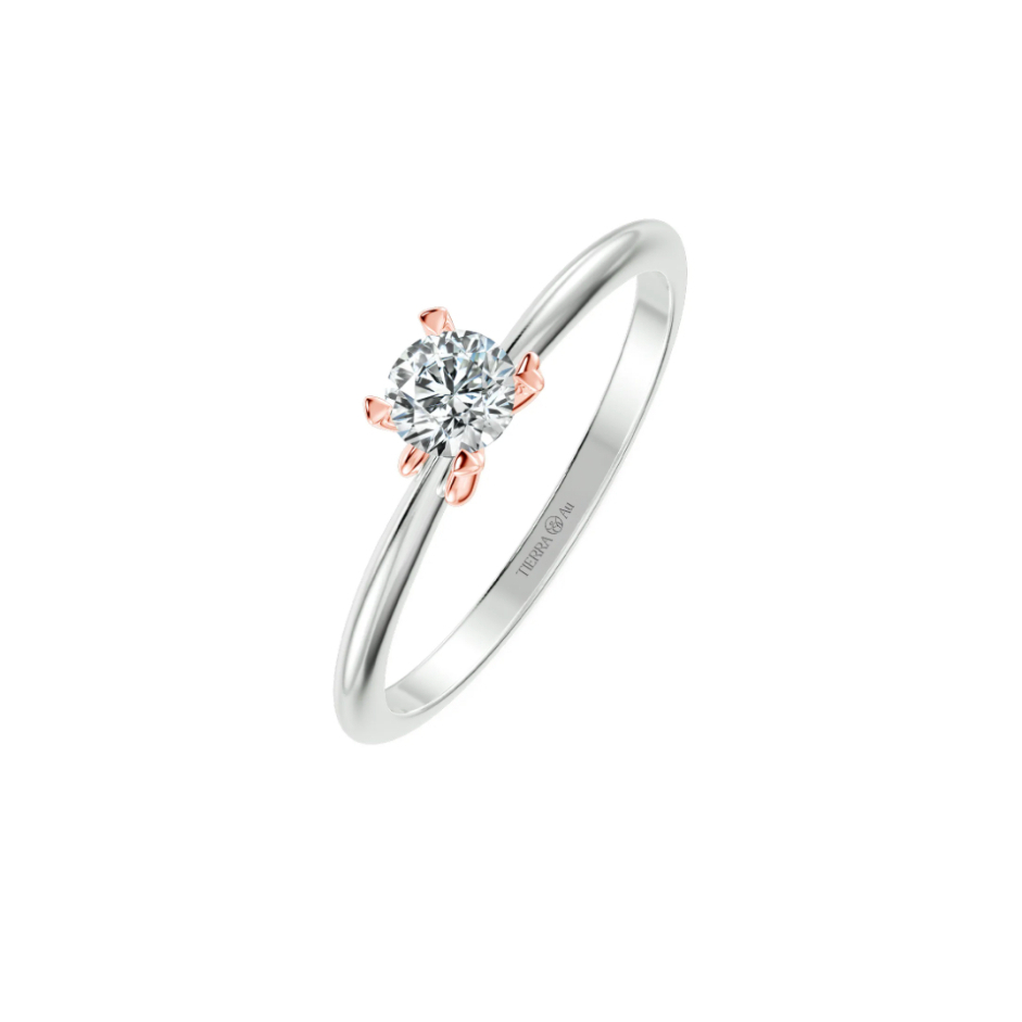 [CHAT TRƯỚC KHI ĐẶT] Nhẫn Cầu Hôn Tierra Lovely Kiss BCH7110 Vàng 10K 14K 18K Đính Đá CZ Thiết Kế Chấu Nơ Nhẹ Nhàng