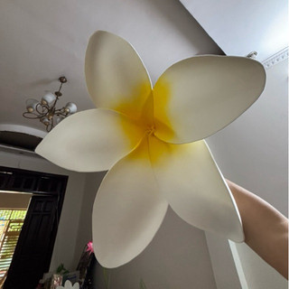 Hoa Chăm Pa, hoa đại múa văn nghệ, decor trang trí
