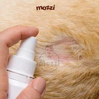 Chai xịt mau lành vết thương ngoài da Nano Silvergiene giảm hôi miệng viêm nha chu cho chó mèo Chai 60ml