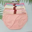 Quần Lót Nữ Thun Lạnh Size 62-72 Ký Chất Vải Mát, Co Giãn Tốt 8831 - Đồ Lót Bơ Chip