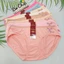 Quần Lót Nữ Thun Lạnh Size 62-72 Ký Chất Vải Mát, Co Giãn Tốt 8831 - Đồ Lót Bơ Chip