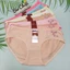 Quần Lót Nữ Thun Lạnh Size 62-72 Ký Chất Vải Mát, Co Giãn Tốt 8831 - Đồ Lót Bơ Chip