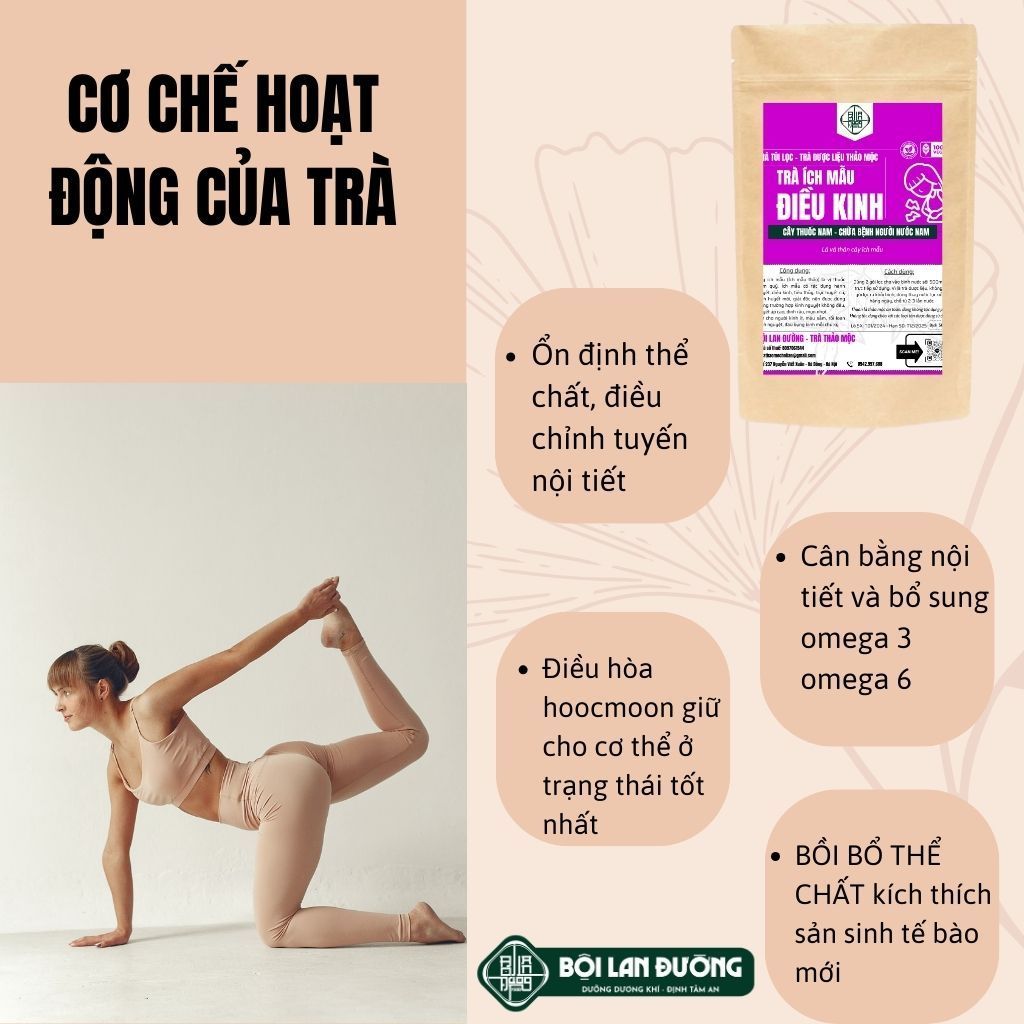 Trà Điều Kinh - Bội Lan Đường - Túi 50 lọc