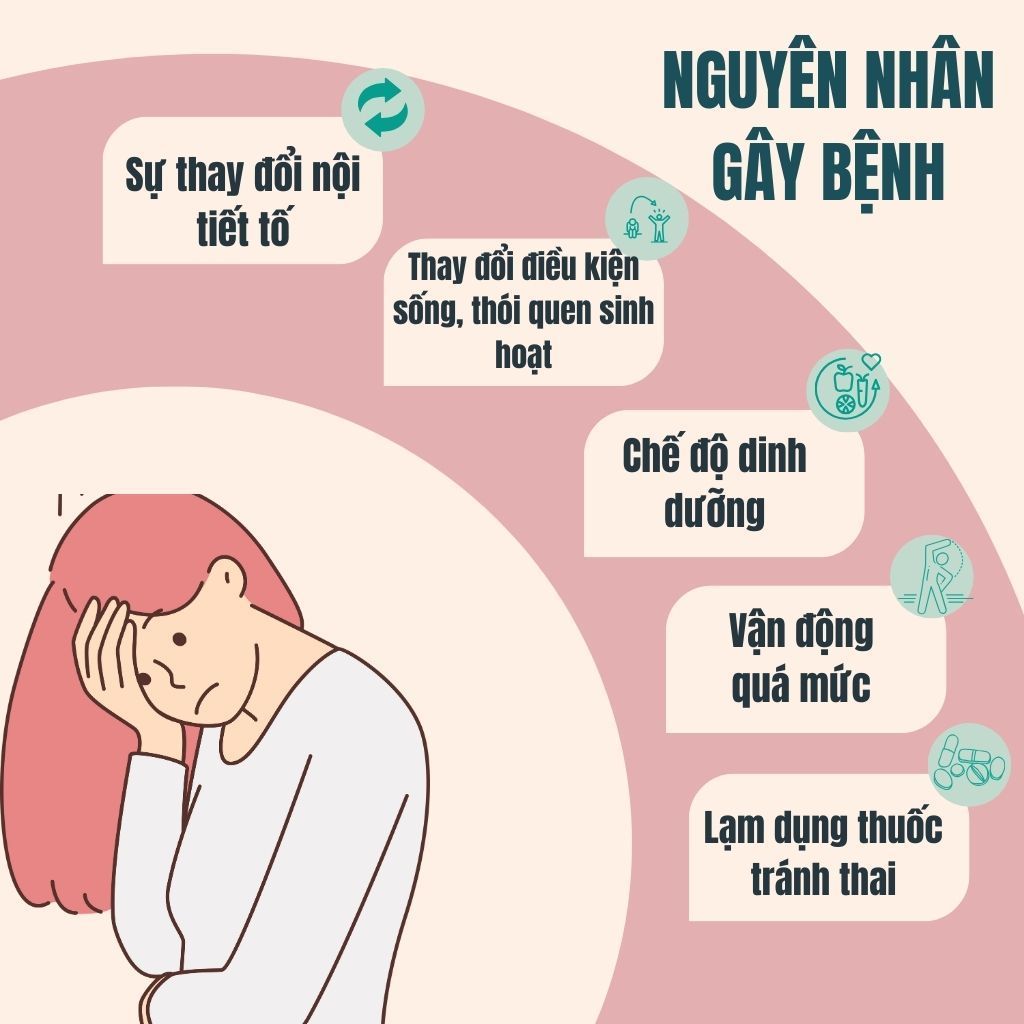 Trà Điều Kinh - Bội Lan Đường - Túi 50 lọc