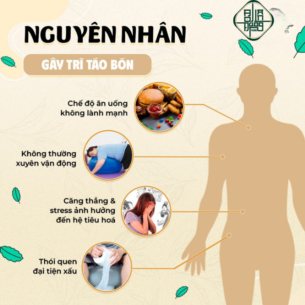 Trà Trĩ Táo Bón - Bội Lan Đường - Túi 50 lọc