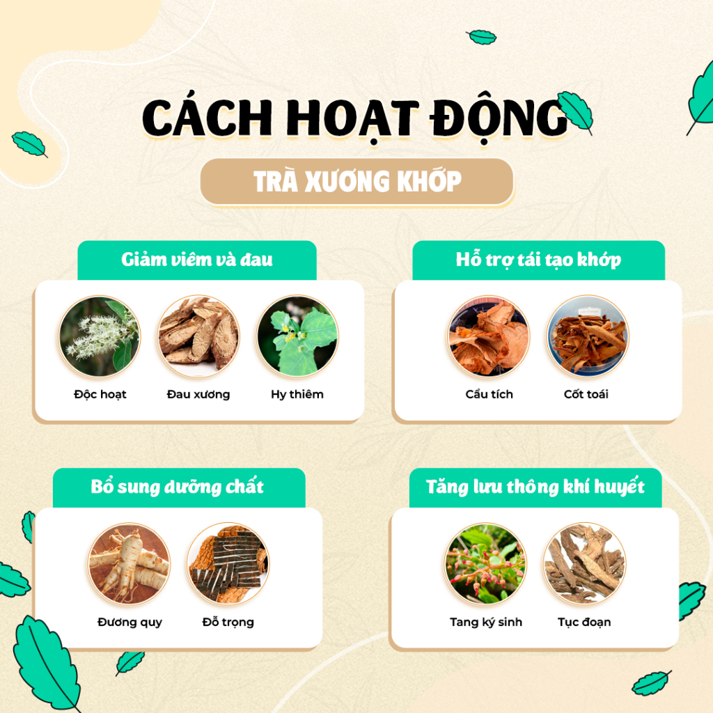 Trà Xương Khớp - Bội Lan Đường - Túi 50 lọc