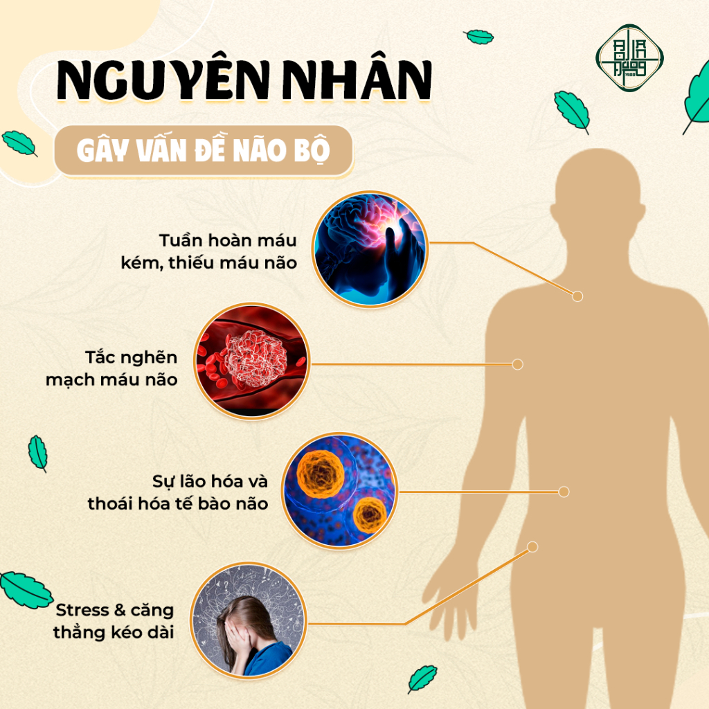 Trà Bổ Não - Bội Lan Đường - Túi 50 lọc