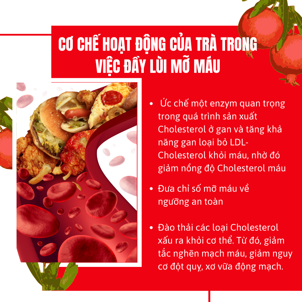 Trà Giảm Mỡ Máu - Bội Lan Đường - Túi 50 lọc