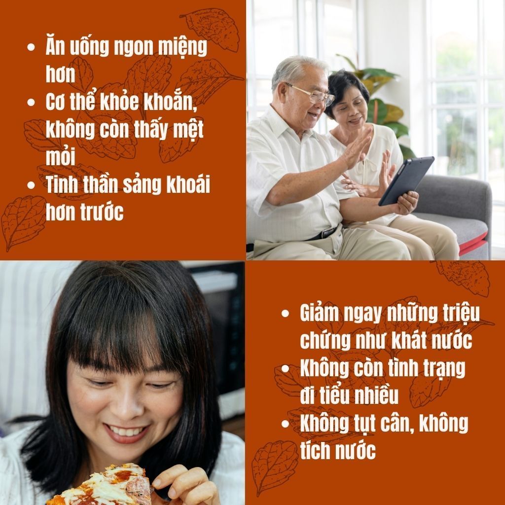 Trà Tiểu Đường - Bội Lan Đường - Túi 50 lọc