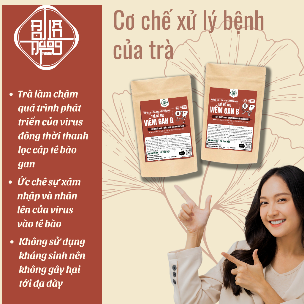 Trà Tiểu Đường - Bội Lan Đường - Túi 50 lọc