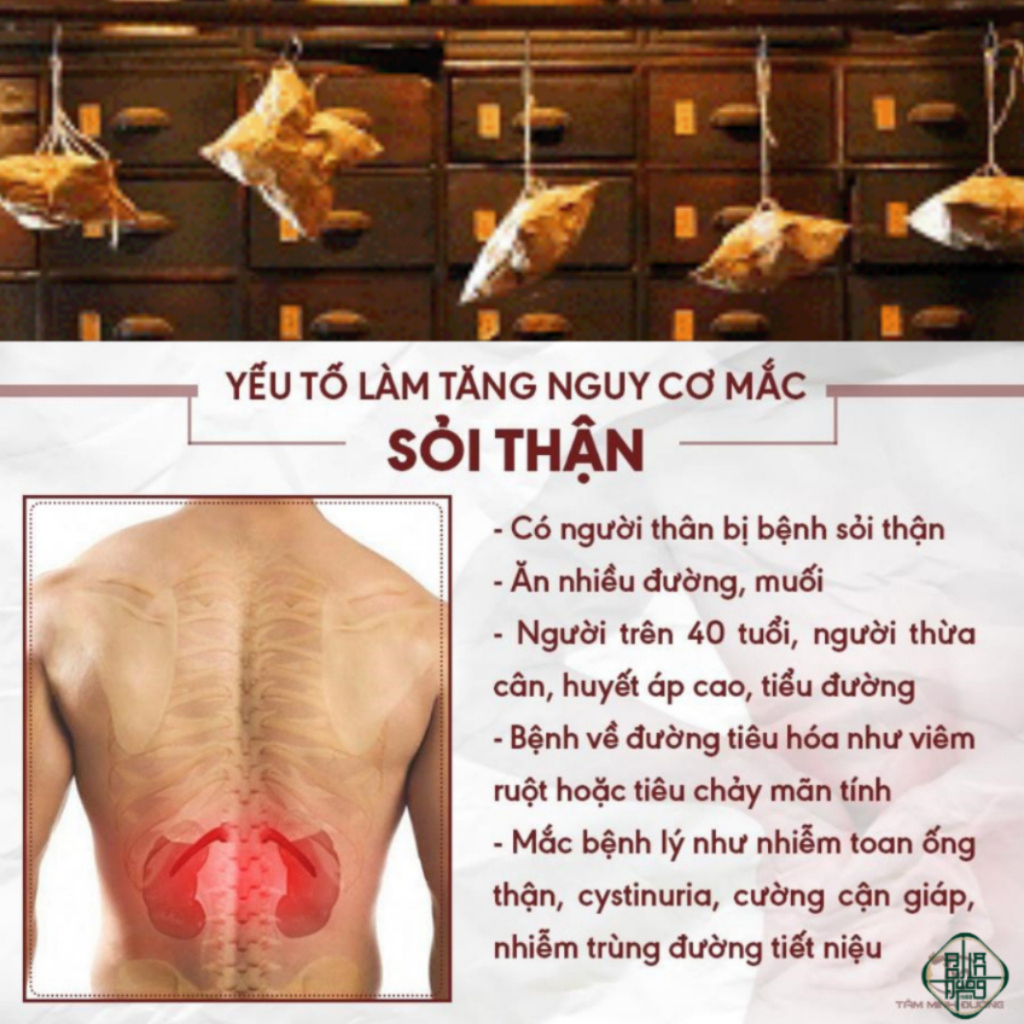 Trà Tán Sỏi - Bội Lan Đường - Túi 50 lọc
