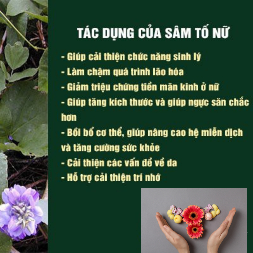 Trà sâm tố nữ mix vị - Bội Lan Đường - Túi 50 lọc