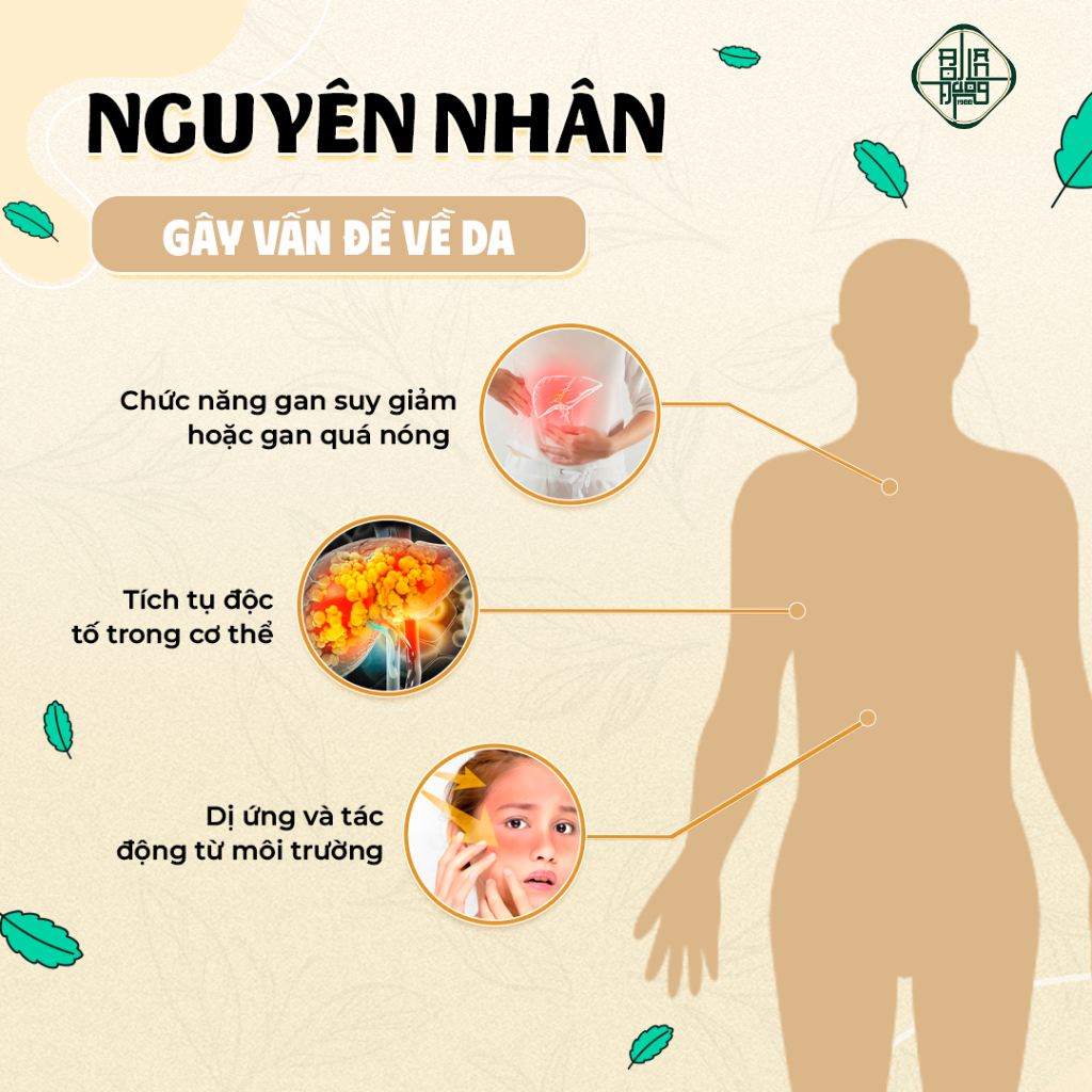 Trà Thải Độc Da - Bội Lan Đường - Túi 50 lọc