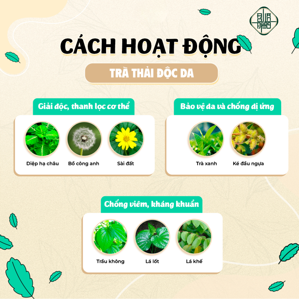 Trà Thải Độc Da - Bội Lan Đường - Túi 50 lọc