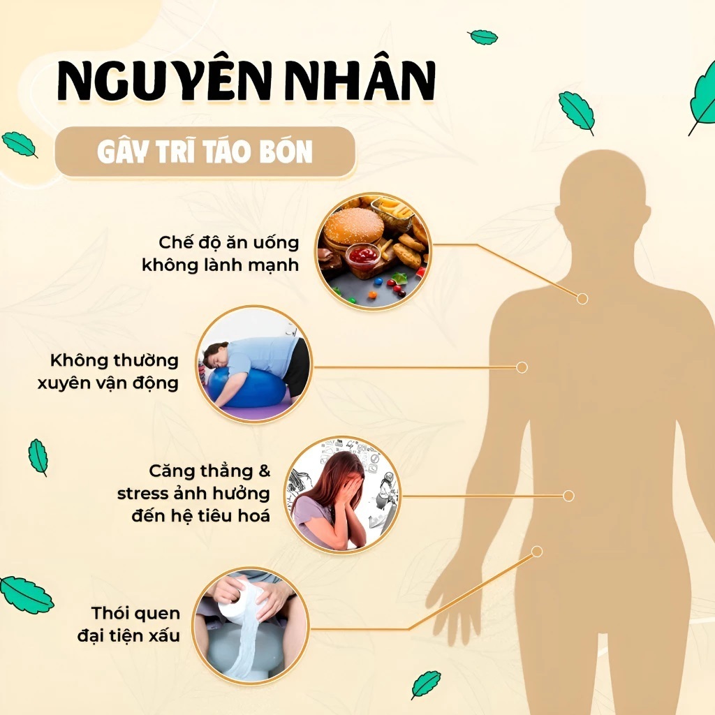 [Có Che Tên] Kem Bôi Trĩ - Bội Lan Đường - Trĩ, Táo Bón, ngứa rát, Giúp Co Nhanh Búi Trĩ - Hũ 20g