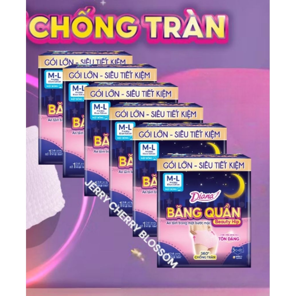 combo 6 gói băng vệ sinh dạng quần  Diana Beauty hip SM/ML/XL 5 chiếc/gói