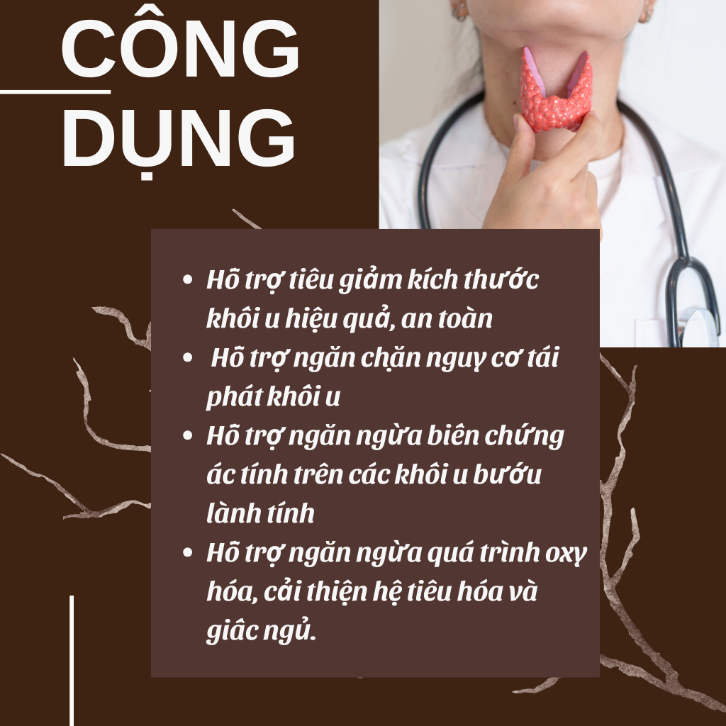 Trà Tiêu U Tuyến Giáp - Bội Lan Đường - Túi 50 lọc