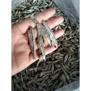 Cá cơm thịt ngon dai vừa ăn chất lượng số 1
