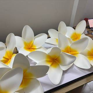 Hoa Chăm Pa, hoa đại múa văn nghệ, decor trang trí
