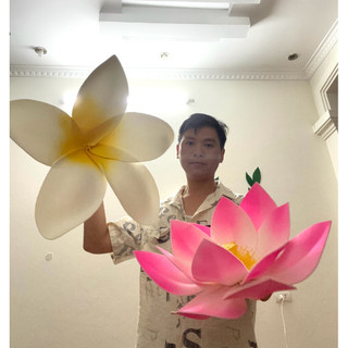 Hoa Chăm Pa, hoa đại múa văn nghệ, decor trang trí