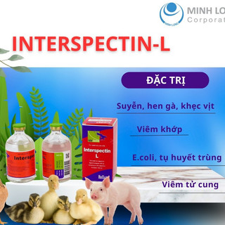 Interchemie Interspectin L chai 100ml trị hô hấp viêm phổi viêm họng viêm khớp cho chó mèo gia cầm