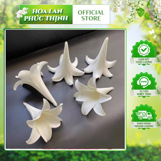 sét 10Bông kèn xốp bông ,huệ xốp trang trí rủ trần sự kiện,trang trí nhà,quán cà phê phong cách lãng mạn2