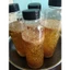 Dầu tỏi phi thơm ngon 400ml - Chay mặn dùng được.