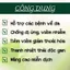Trà Thải Độc Da - Viêm Da Cơ Địa, Chàm Da, Da Tiết Bã, Nấm Da, Hắc Lào - Hoàng Bá, Hoàng Liên, Trầu Không - 50 Lọc