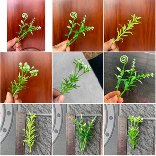 100g cỏ điểm nhựa-trang trí gốc cây,điểm bó hoa, làm tiểu cảnh trang trí không gian sống và nhiều ý tưởng trang trí khác