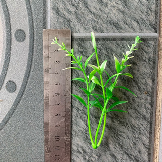 100g cỏ điểm nhựa-trang trí gốc cây,điểm bó hoa, làm tiểu cảnh trang trí không gian sống và nhiều ý tưởng trang trí khác