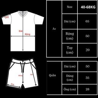 Đồ Bộ Quần Áo Thể Thao Nam Nữ Mùa Hè Chất Thun Mè Gấu TANBY Co Giãn 4 Chiều 4 Màu SPORT DTB K1
